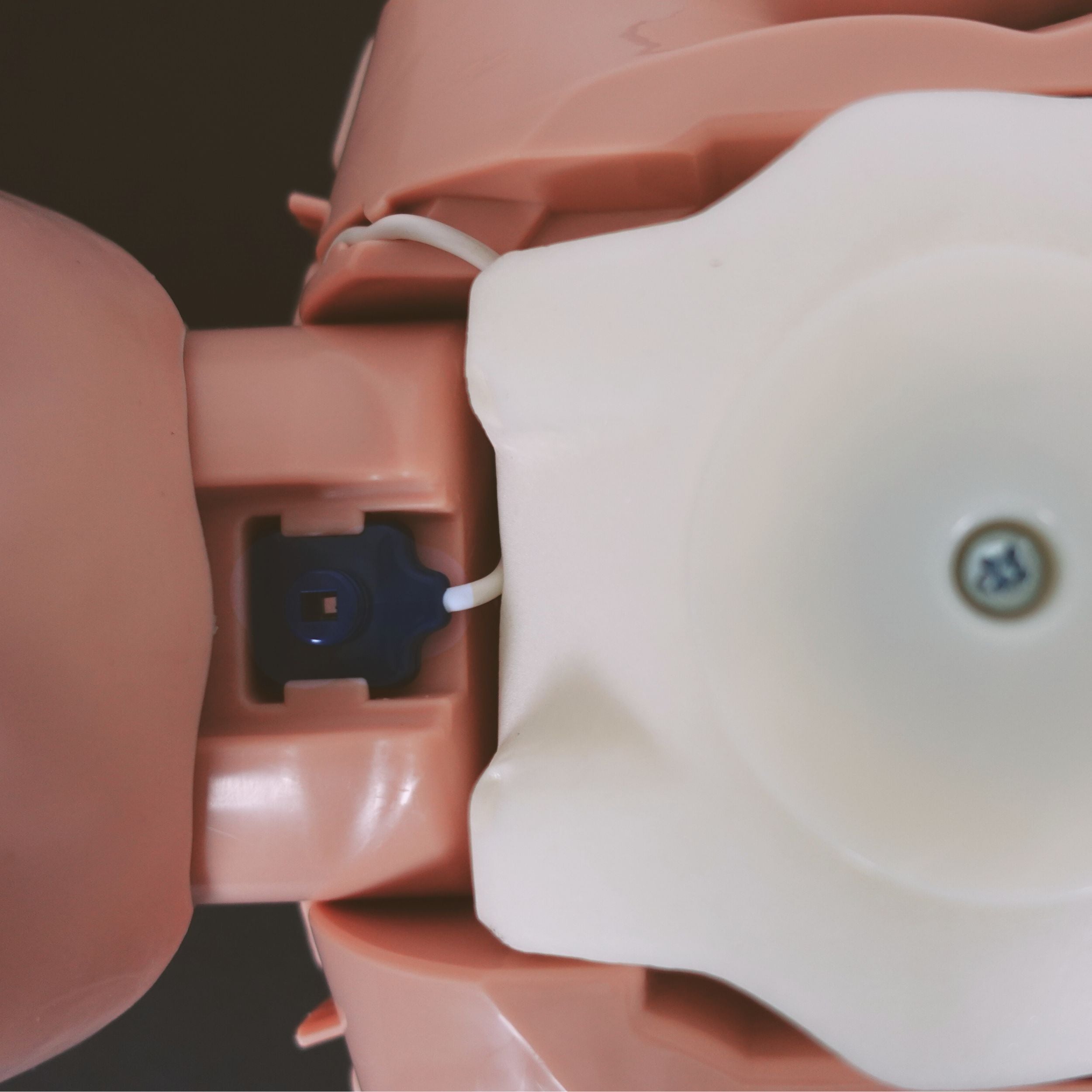 Series 2000 Infant CPR Manikin with Advanced Feedback, MEDIUM TONE, PRESTAN