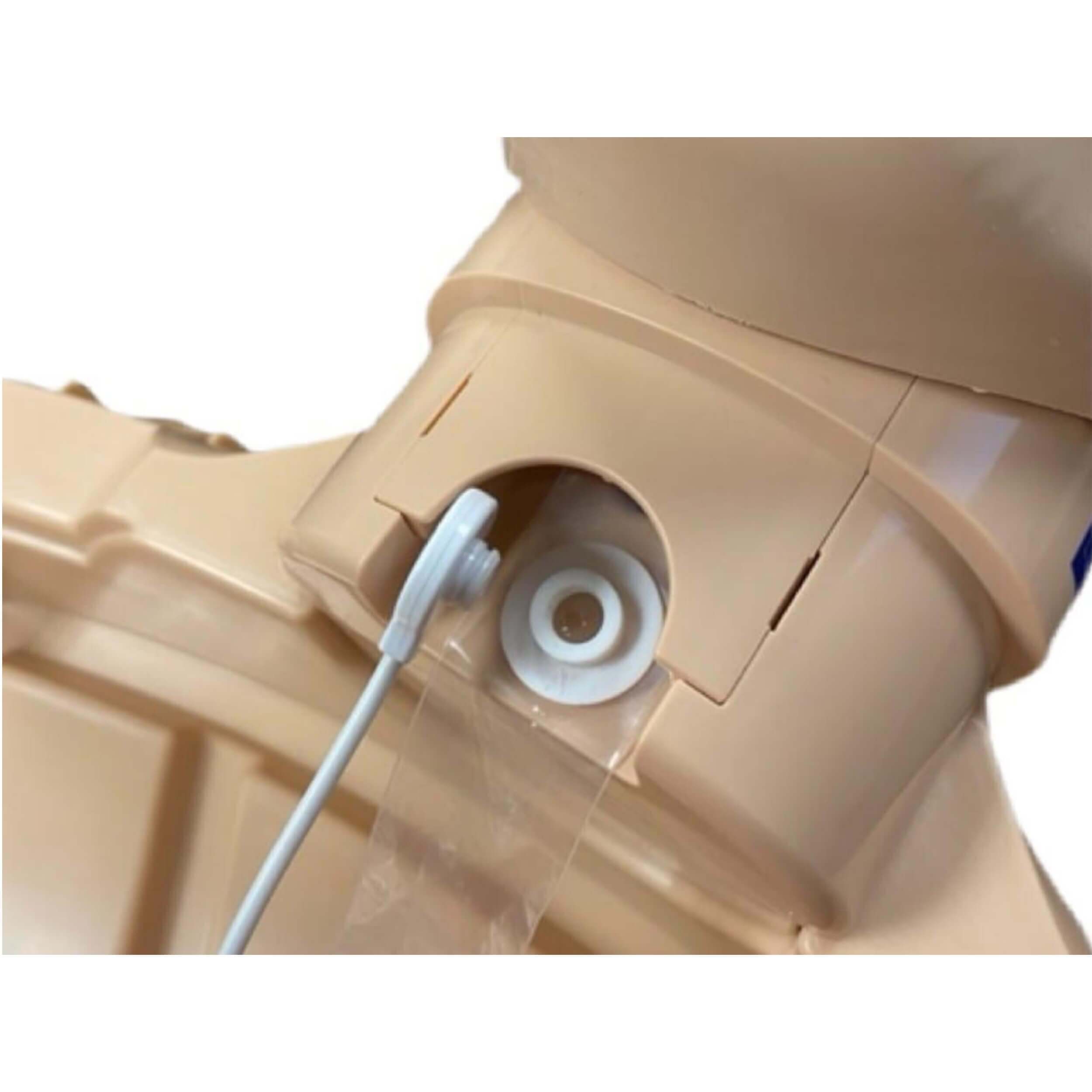 Series 2000 Adult CPR Manikin with Advanced Feedback, DARK TONE, PRESTAN