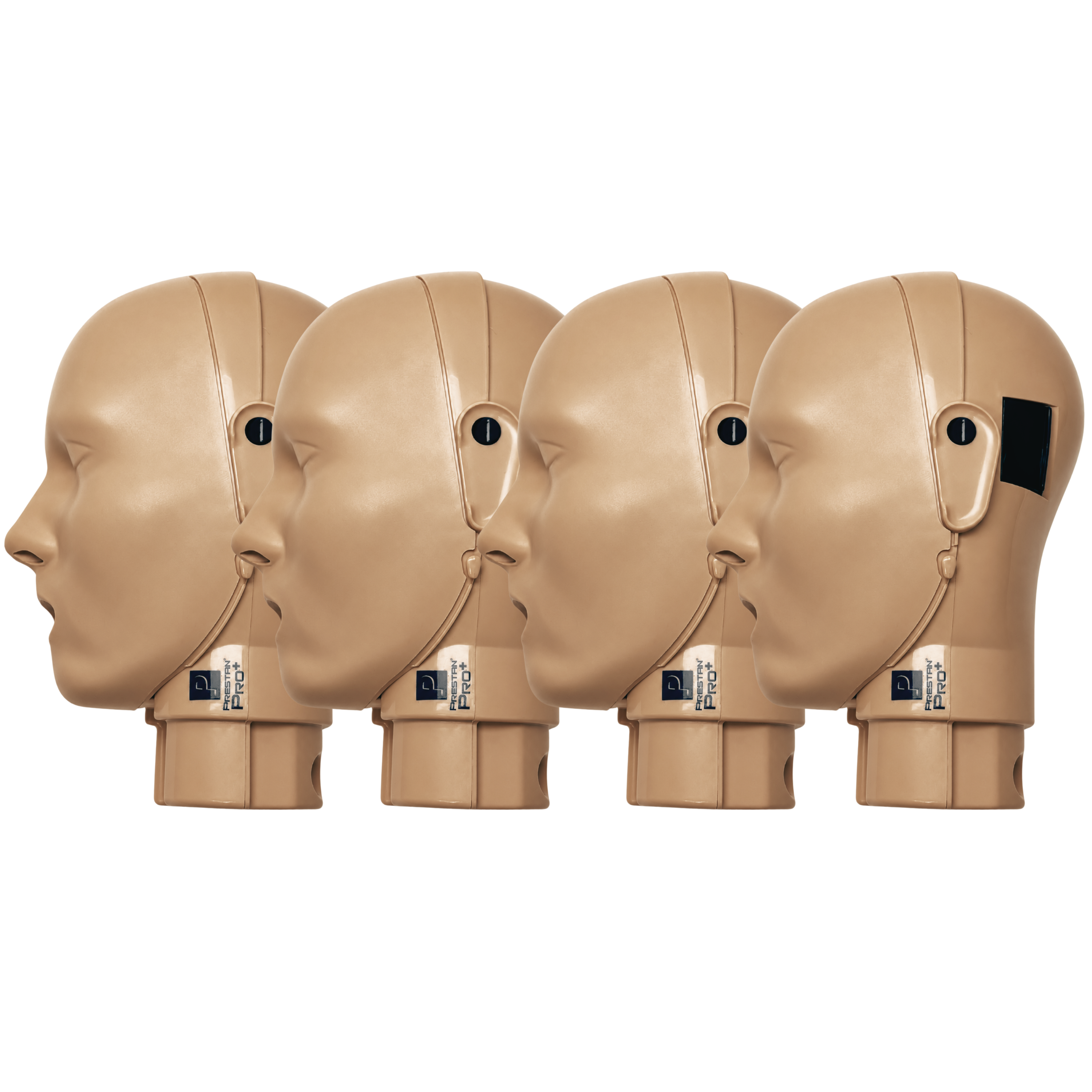 PRESTAN Adult PRO+CPR Manikin Head-Dark Skin-4 Pack