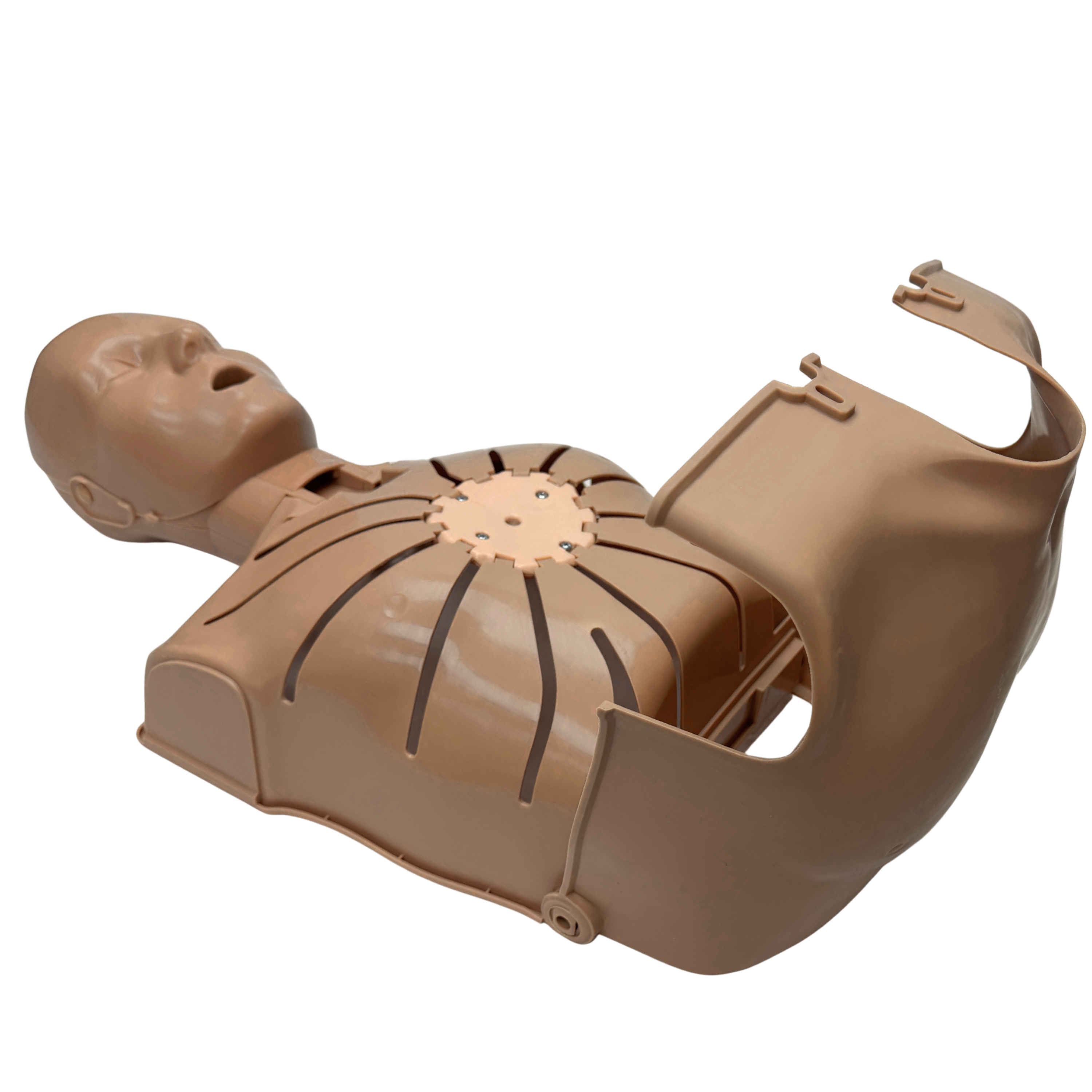 PRESTAN-Ultralite-open chest dark tone manikin