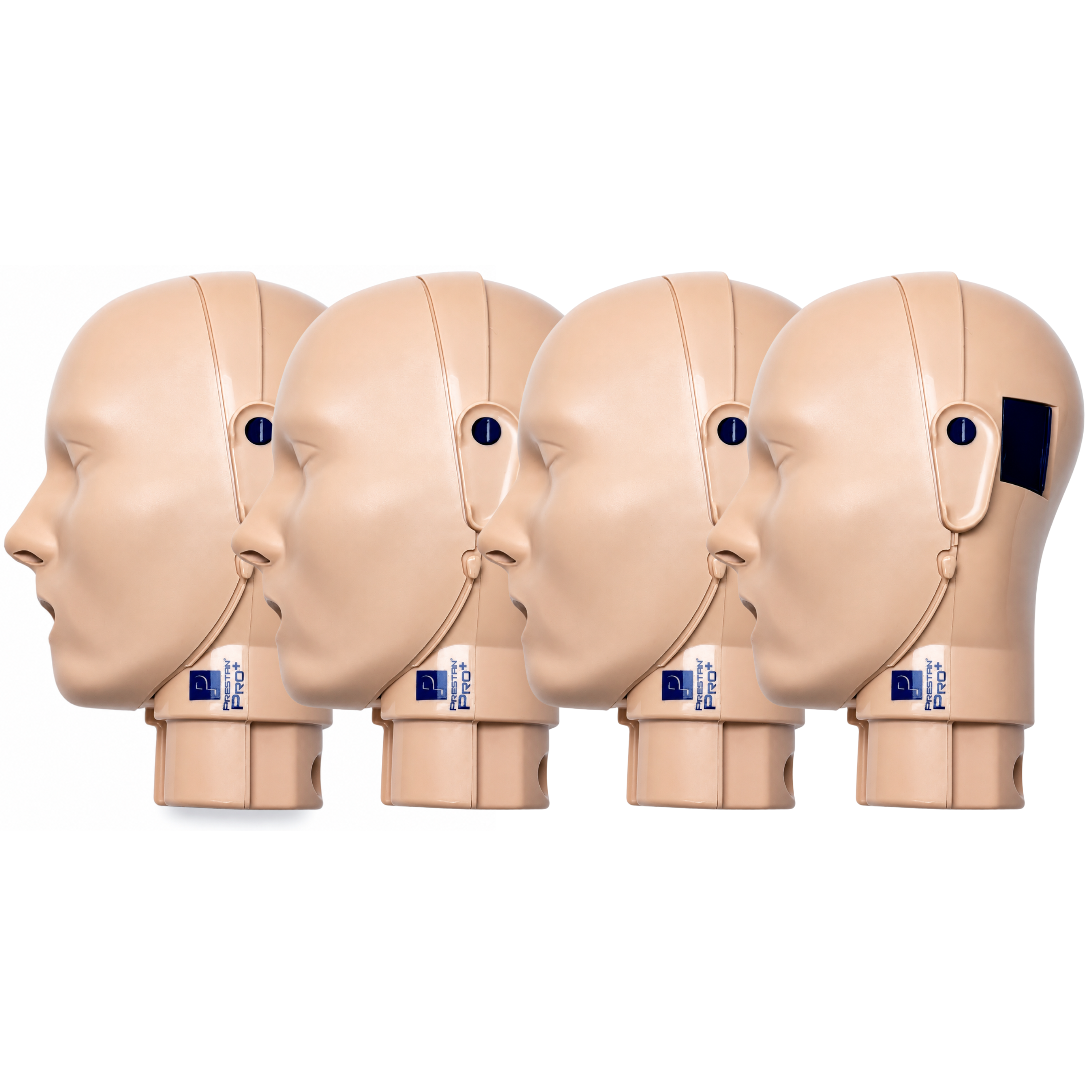 PRESTAN Adult PRO+CPR Manikin Head-Medium Skin-4pack