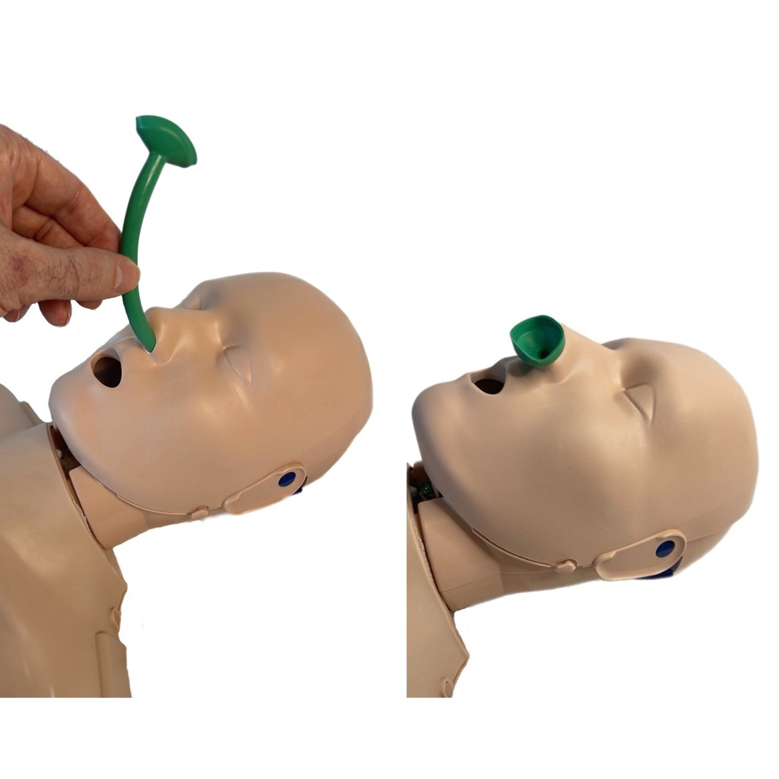 Prestan Adult PRO+CPR Manikin Head-Dark Skin-Single