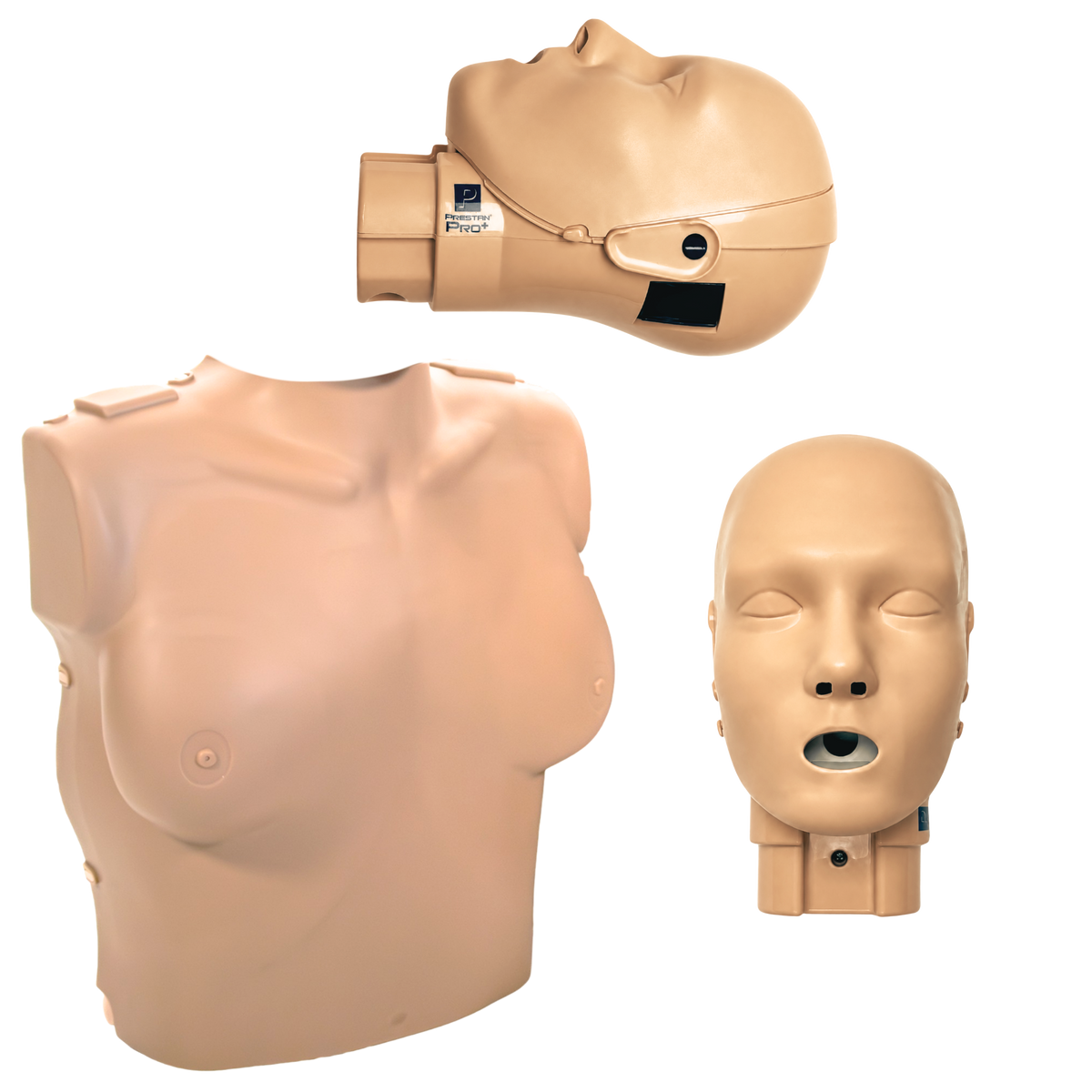 PRESTAN - PRO+ Female Manikin - the medium tone female torso with the front view and side view of the PRO+ head. 