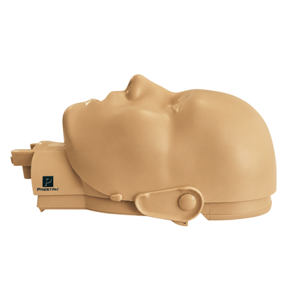 PRESTAN-Ultralite head-dark tone replacement head, flat,  side view